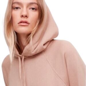 Wilfred Free Williamson Sweater from Aritzia Blush Camille Size XXS Hoodie